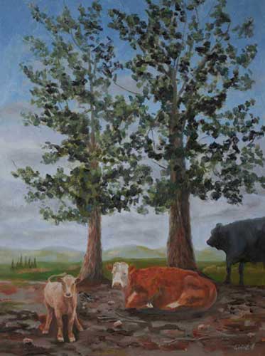 Bitterroot Ponderosa: Oil painting of ponderosa pines in Montana