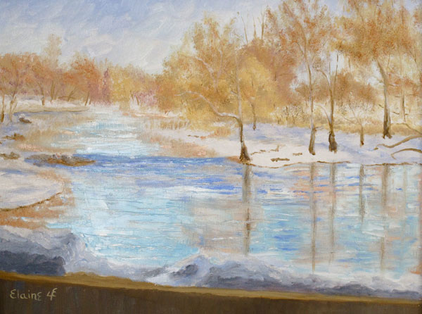 Bitterroot Ponderosa: Oil painting of ponderosa pines in Montana